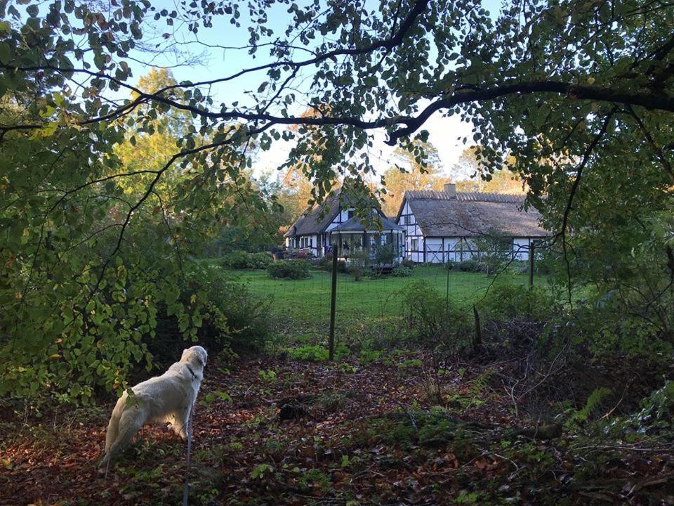 The Foresters House- Idyllic Tranquility- Non Smokers Only Store Heddinge エクステリア 写真