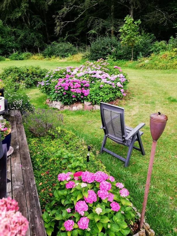 The Foresters House- Idyllic Tranquility- Non Smokers Only Store Heddinge エクステリア 写真