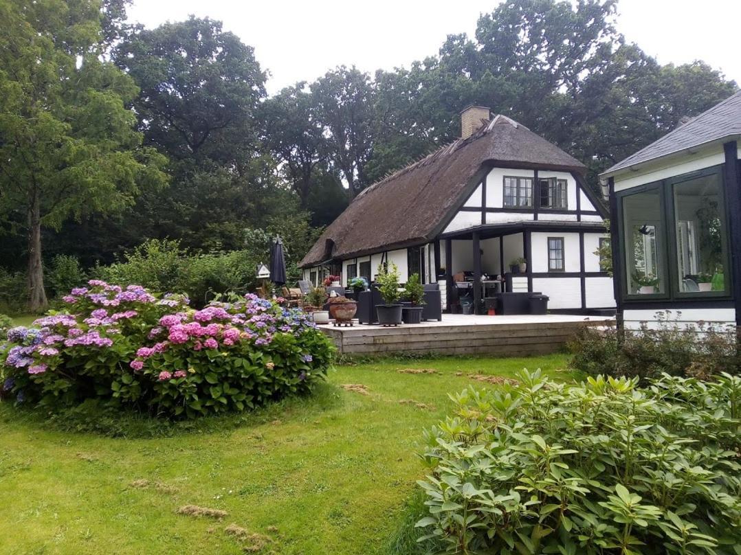 The Foresters House- Idyllic Tranquility- Non Smokers Only Store Heddinge エクステリア 写真