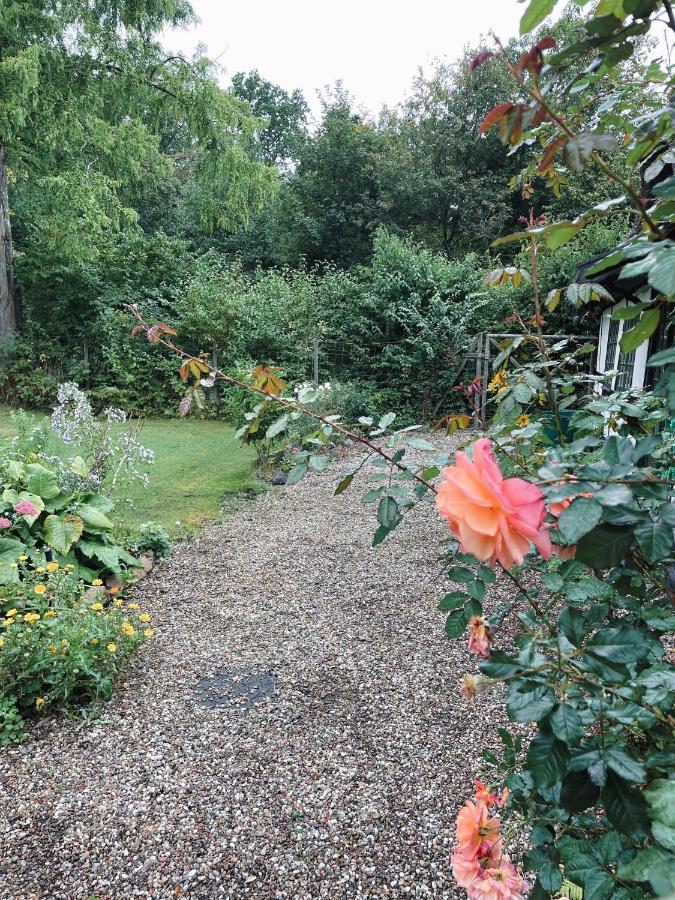 The Foresters House- Idyllic Tranquility- Non Smokers Only Store Heddinge エクステリア 写真
