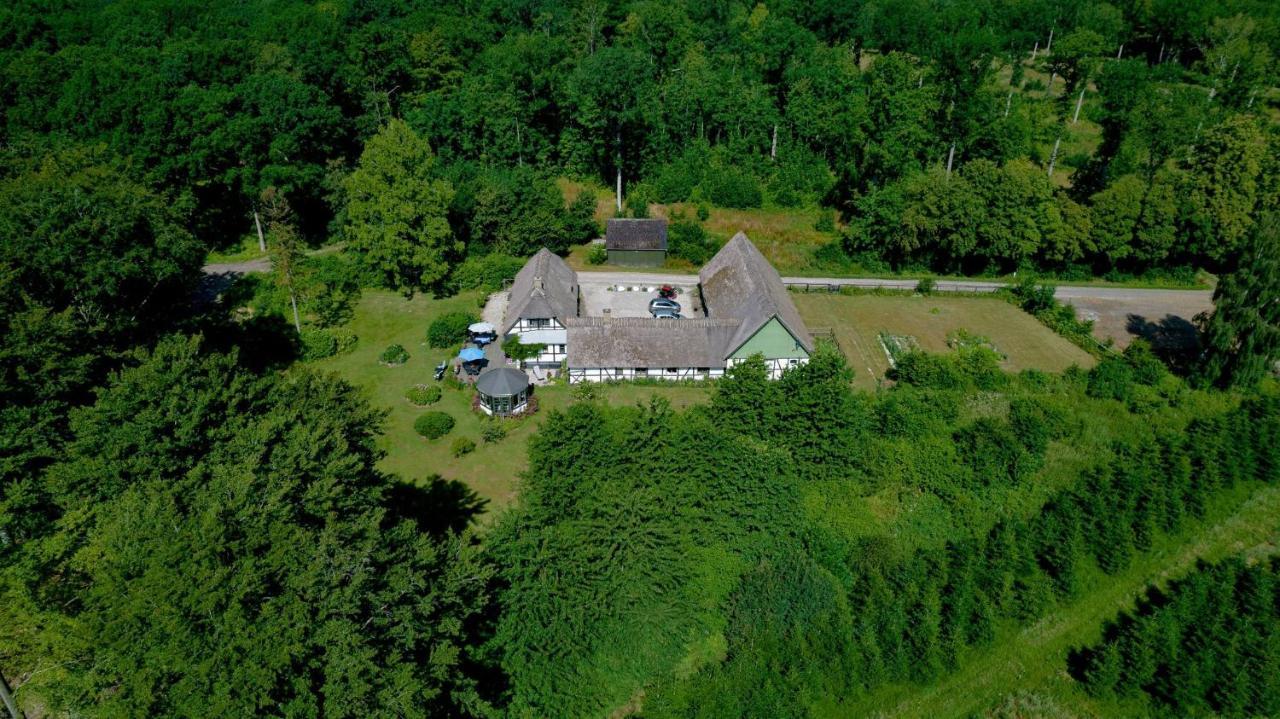 The Foresters House- Idyllic Tranquility- Non Smokers Only Store Heddinge エクステリア 写真